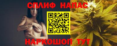 скорость Бердск