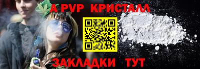 скорость Бердск