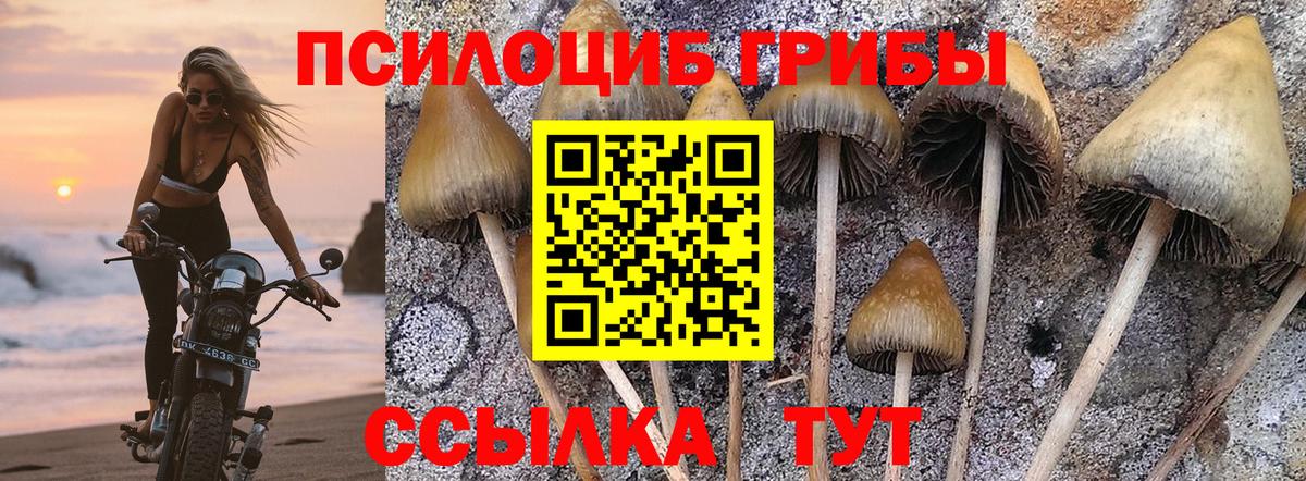 Дзержинский  Псилоцибиновые грибы Magic Shrooms  Вход с VPN 