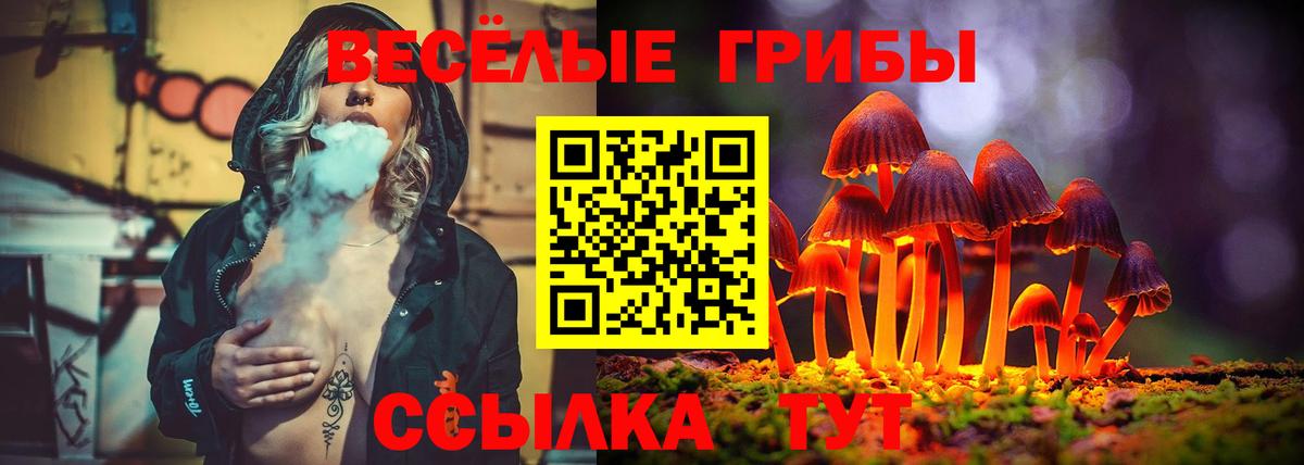Галлюциногенные грибы Psilocybe Дзержинский